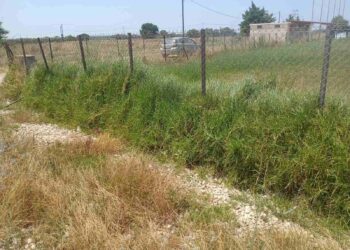 Τί γίνεται στο γήπεδο της Λακκόπετρας; Οι καταγγελίες της αντιπολίτευσης