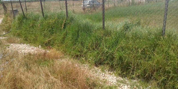 Τί γίνεται στο γήπεδο της Λακκόπετρας; Οι καταγγελίες της αντιπολίτευσης