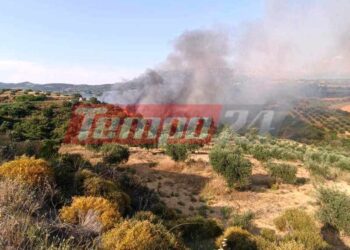 Βελιτσές Αχαΐας: Συναγερμός για πυρκαγιά σε δασική έκταση – Επιχειρούν και εναέρια μέσα (ΦΩΤΟ – ΒΙΝΤΕΟ) – ΝΕΟΤΕΡΑ