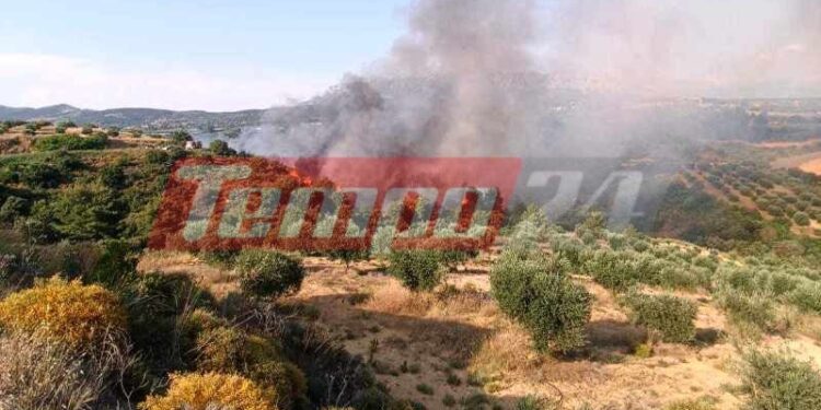 Βελιτσές Αχαΐας: Συναγερμός για πυρκαγιά σε δασική έκταση – Επιχειρούν και εναέρια μέσα (ΦΩΤΟ – ΒΙΝΤΕΟ) – ΝΕΟΤΕΡΑ