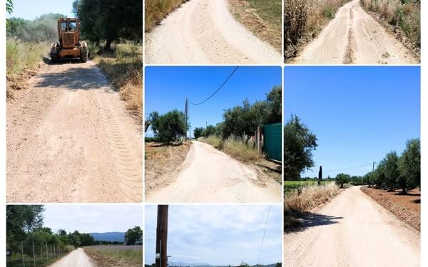 “Έστρωσαν” τους αγροτικούς δρόμους στα Καρέικα