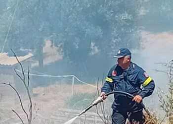 “Η ΑΡΙΑ”: Στη φωτιά του Κρίνου οι εθελοντές του φυσιολατρικού συλλόγου – ΦΩΤΟ