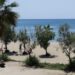 Σοβαρή εξέλιξη με το νεκρό κοριτσάκι στο Παλαιό Φάληρο: Βρέθηκε βίντεο που δείχνει την 3χρονη να μεταφέρεται σε καροτσάκι!