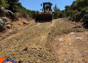 Αντιπυρικές ζώνες στη Δυτική Αχαΐα – Στα δύσκολα σημεία η προτεραιότητα – ΦΩΤΟ