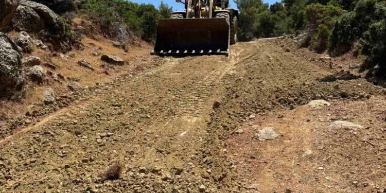 Αντιπυρικές ζώνες στη Δυτική Αχαΐα – Στα δύσκολα σημεία η προτεραιότητα – ΦΩΤΟ