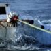 Αχαΐα: Απαγορεύεται το ψάρεμα σε πολυσύχναστες παραλίες – Δείτε την απόφαση του Κεντρικού Λιμεναρχείου