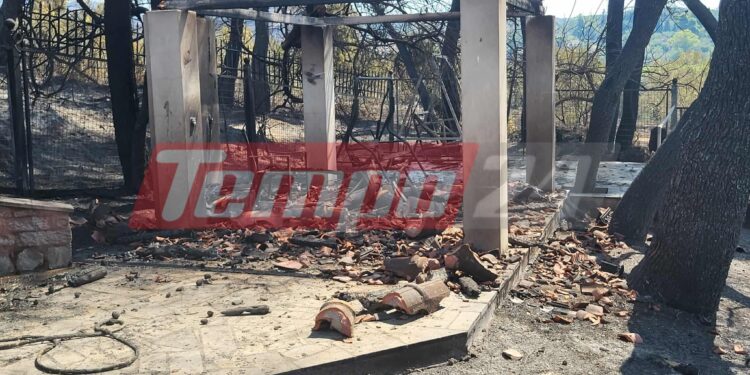 Οδοιπορικό στην Αρχαία Ολυμπία: Αποκαρδιωτικές εικόνες μετά τη φωτιά – Σε απόγνωση οι κάτοικοι μετρούν τις πληγές τους (ΦΩΤΟ)