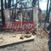 Οδοιπορικό στην Αρχαία Ολυμπία: Αποκαρδιωτικές εικόνες μετά τη φωτιά – Σε απόγνωση οι κάτοικοι μετρούν τις πληγές τους (ΦΩΤΟ)