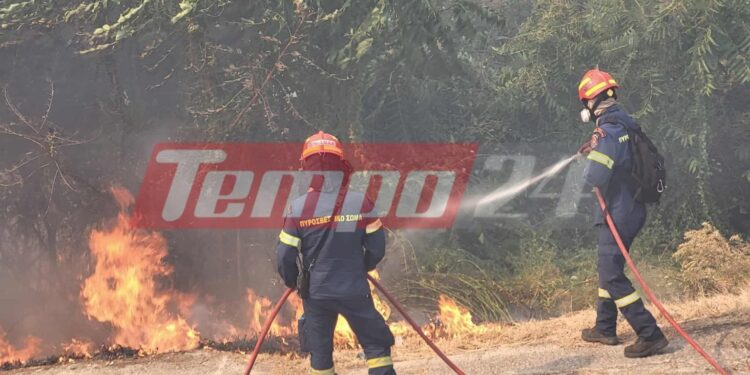 Δήμαρχος Δυτικής Αχαΐας: Επεκτείνεται η φωτιά και απειλεί νέους οικισμούς, έκκληση για περισσότερα εναέρια μέσα