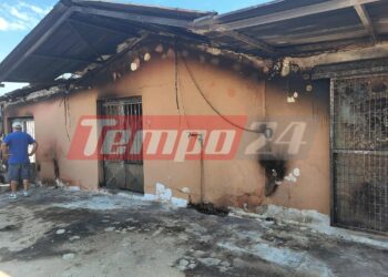 Δυτική Αχαΐα: Πλιάτσικο στα καμένα – Συνεχείς περιπολίες της ΕΛ.ΑΣ για να αποτρέψει λεηλασίες