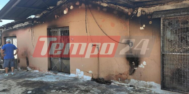 Δυτική Αχαΐα: Πλιάτσικο στα καμένα – Συνεχείς περιπολίες της ΕΛ.ΑΣ για να αποτρέψει λεηλασίες