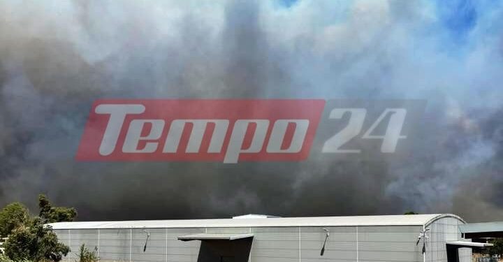 Δυτική Αχαΐα: Μεγάλη φωτιά στα Μοιρέικα – Στις φλόγες θερμοκήπια, μηνύματα εκκένωσης οικισμών από το 112 (ΦΩΤΟ – ΒΙΝΤΕΟ)