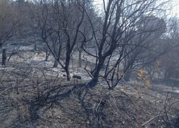 Πύρινη λαίλαπα στην Αχαΐα – Ακύρωση θεατρικής παράστασης στο Μαζαράκι