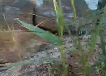 Πάτρα: Ο αγωγός έχει σπάσει στα Καμίνια, το νερό τρέχει πάνω από ένα μήνα, αλλά δεν ιδρώνει το αυτί κανενός!