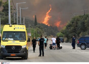Δασικές πυρκαγιές στην Ελλάδα: Φέτος η 5η χειρότερη χρονιά από το 2006 – Στάχτη 473.930 στρέμματα – Πόσες εκτάσεις κάηκαν στην Αχαΐα