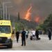 Δασικές πυρκαγιές στην Ελλάδα: Φέτος η 5η χειρότερη χρονιά από το 2006 – Στάχτη 473.930 στρέμματα – Πόσες εκτάσεις κάηκαν στην Αχαΐα