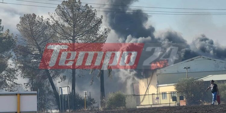 Αχαΐα: Ξεκίνησε η υποβολή αιτήσεων απαλλαγής ΕΝΦΙΑ για τους πυρόπληκτους -Δείτε ποιες περιοχές αφορά