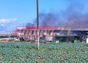 Μεγάλη φωτιά στο Λάππα Δυτικής Αχαΐας (ΦΩΤΟ & ΒΙΝΤΕΟ)