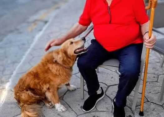 Θλίψη για την απώλεια του Αχαγιώτη επιχειρηματία Θεόδωρου Διαμαντόπουλου