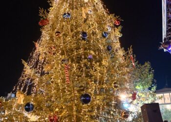Δυτική Αχαΐα: Ο δήμος άναψε το Χριστουγεννιάτικο Δέντρο του και μοίρασε χαμόγελα και ελπίδα! ΦΩΤΟΓΡΑΦΙΕΣ