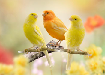 Η φωτογραφία της ημέρας