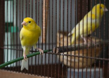 Η φωτογραφία της ημέρας