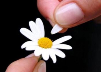 Η φωτογραφία της ημέρας