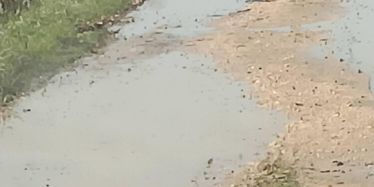 Φίλιππας Λιάκος: “Αγανάκτηση των πολιτών για την αγροτική οδοποιία”