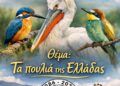 Έκθεση φωτογραφίας της ΟΙΚΙΠΑ: «Τα πουλιά της Ελλάδας»