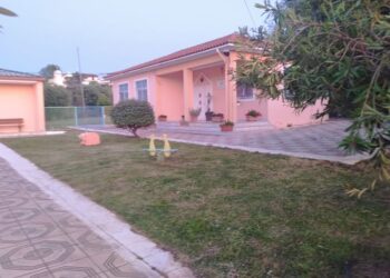 Πσιτ! “Καθάρισε” ο σύλλογος στον Αλισσό για το προαύλιο του σχολείου