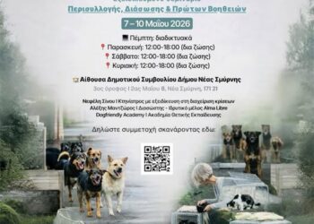 Δωρεάν μαθήματα περισυλλογής, διάσωσης και πρώτων βοηθειών σε αδέσποτα ζώα συντροφιάς