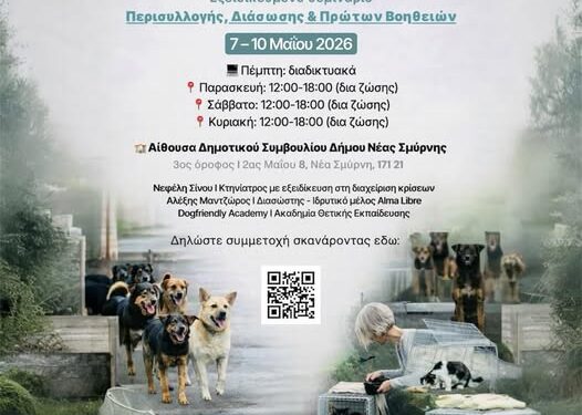 Δωρεάν μαθήματα περισυλλογής, διάσωσης και πρώτων βοηθειών σε αδέσποτα ζώα συντροφιάς