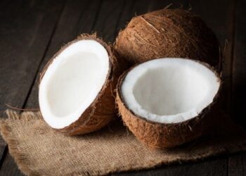 Η φωτογραφία της ημέρας