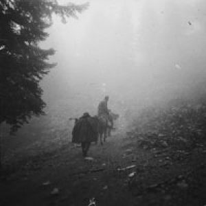 Η φωτογραφία της ημέρας