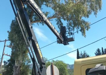 Πσιτ! Όχι για κλάδεμα δεν πήγαιναν, αλλά ούτε για ψήφους!