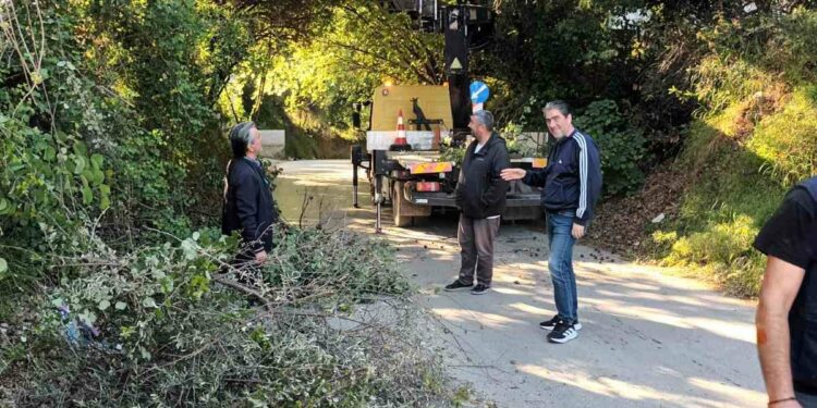 Πσιτ! Καλημέρα από την… Κολοσάρα