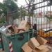 Πσιτ! Άλλος το πρωί… άλλος το βράδυ…
