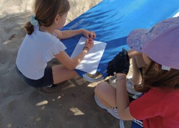 Δράσεις – μαθήματα για τα παιδιά στην παραλία της Καλογριάς!