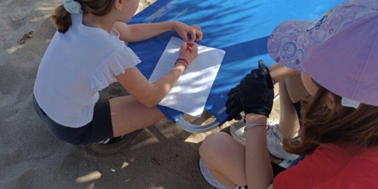Δράσεις – μαθήματα για τα παιδιά στην παραλία της Καλογριάς!