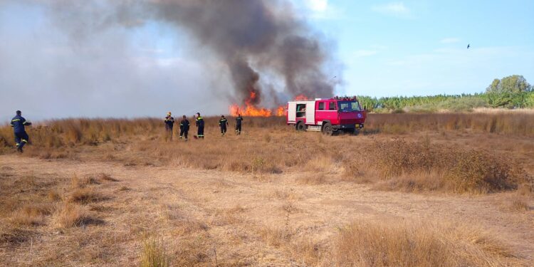 Στο νοσοκομείο πυροσβέστης που επιχειρούσε σε φωτιά στα Σαγέικα Δυτικής Αχαΐας – Υπέστη εγκαύματα