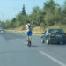 Πατρών – Πύργου: Απίστευτο περιστατικό στην εθνική οδό στο ύψος του Λάππα