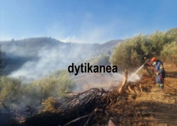 “Καιγόμαστε αδέρφια”! Σόκαρε ο πρόεδρος της ΤΚ Φλόκα Ανδρέας Σταθόπουλος – Η φωνή του “πάγωσε” στον αέρα τον δημοσιογράφο – Νεότερα για το πύρινο μέτωπο – ΦΩΤΟ, ΒΙΝΤΕΟ