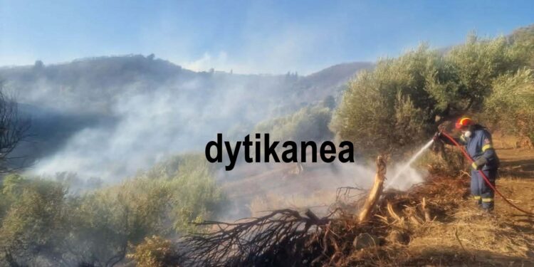 “Καιγόμαστε αδέρφια”! Σόκαρε ο πρόεδρος της ΤΚ Φλόκα Ανδρέας Σταθόπουλος – Η φωνή του “πάγωσε” στον αέρα τον δημοσιογράφο – Νεότερα για το πύρινο μέτωπο – ΦΩΤΟ, ΒΙΝΤΕΟ