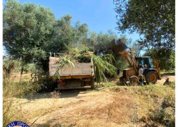 Σε Πέττα, Λακκόπετρα και Κρίνο εργασίες πρόληψης και αντιπυρικής προστασίας – Καθημερινά καθαρισμοί και διανοίξεις