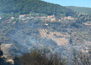 Φωτιά στο Φλόκα: Μια “ανάσα” από τα σπίτια! Εικόνες από το πέρασμα της πύρινης “οργής”