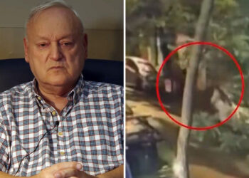 Δολοφονία Σταύρου Γεωργίου: Συνελήφθη και ομολόγησε 28χρονος Αιγύπτιος – Τι συνέβη το μοιραίο βράδυ, το στοιχείο που «έκαψε» τον κατηγορούμενο