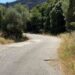 Σε κακή κατάσταση ο δρόμος που οδηγεί στον ΧΥΤΑ Φλόκα – “Καμπανάκι” του Αλεξόπουλου για τα σκουπίδια