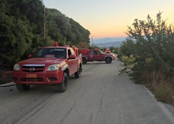Γρηγόρης Αλεξόπουλος: Η απάντησή του στις “ερωτήσεις” της αντιπολίτευσης – Τί έγινε, πότε, με ποιους και πώς έσβησε έγκαιρα η μεγάλη φωτιά στο Φλόκα