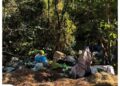 Ανεξέλεγκτη χωματερή στα Χαρμπιλέικα – Τί βρήκαν τα συνεργεία καθαρισμού του Δήμου – ΦΩΤΟ