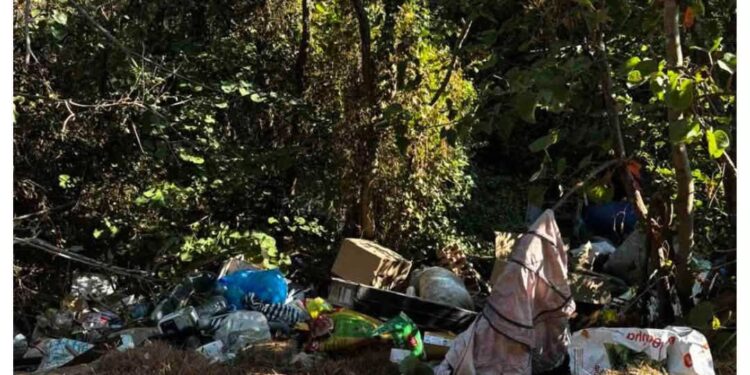 Ανεξέλεγκτη χωματερή στα Χαρμπιλέικα – Τί βρήκαν τα συνεργεία καθαρισμού του Δήμου – ΦΩΤΟ